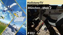 MSFS 011