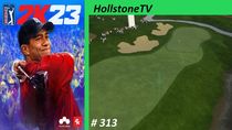 PGA Tour 313