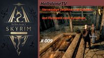 Skyrim Anniversary 009